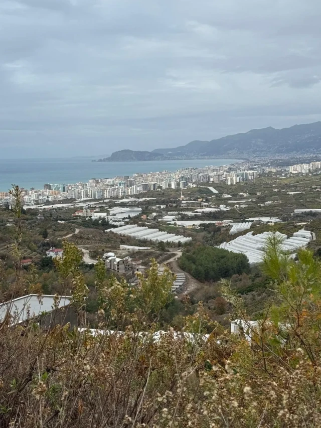 Property in ALANYA-ALANYA